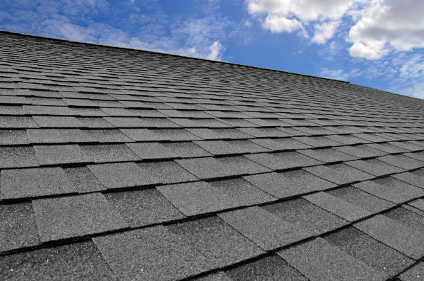 Best Skylight Installation and Repair  in Monroeville, AL