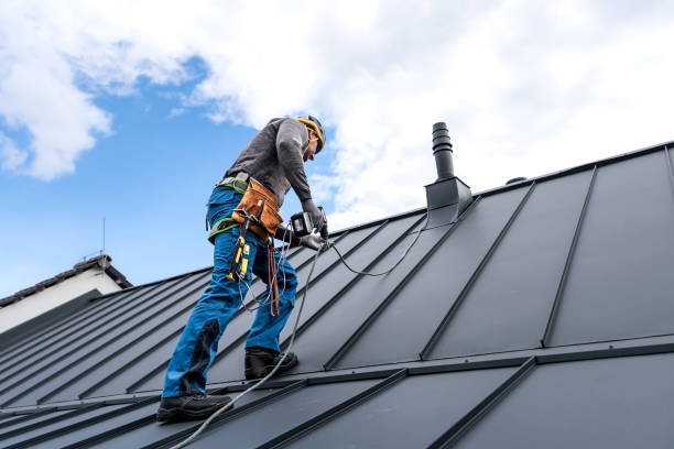 Best Roof Leak Repair  in Monroeville, AL